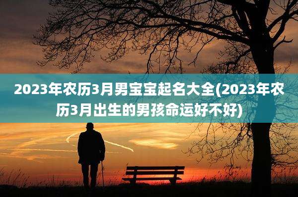 2023年农历3月男宝宝起名大全(2023年农历3月出生的男孩命运好不好)