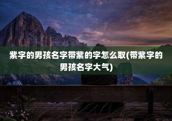 紫字的男孩名字带紫的字怎么取(带紫字的男孩名字大气)