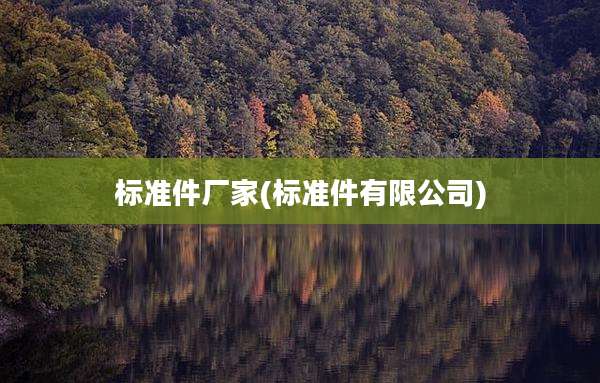 标准件厂家(标准件有限公司)