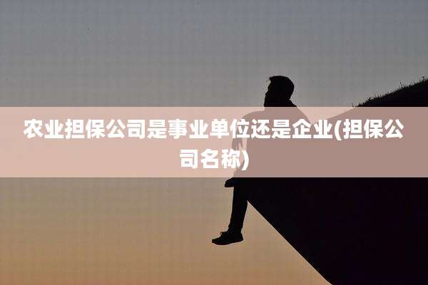 农业担保公司是事业单位还是企业(担保公司名称)