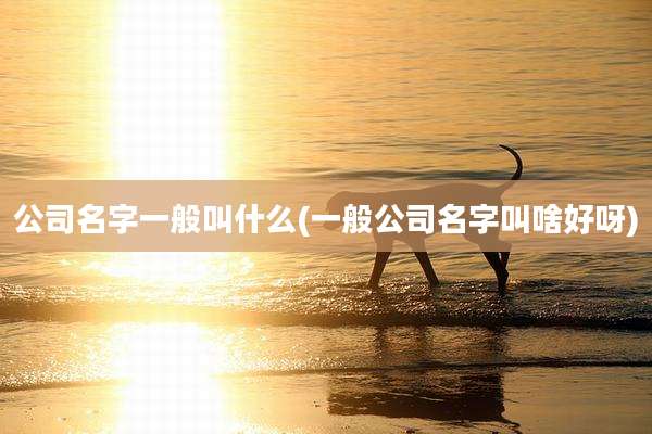 公司名字一般叫什么(一般公司名字叫啥好呀)