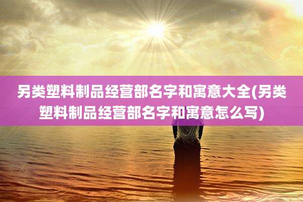 另类塑料制品经营部名字和寓意大全(另类塑料制品经营部名字和寓意怎么写)