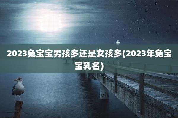 2023兔宝宝男孩多还是女孩多(2023年兔宝宝乳名)