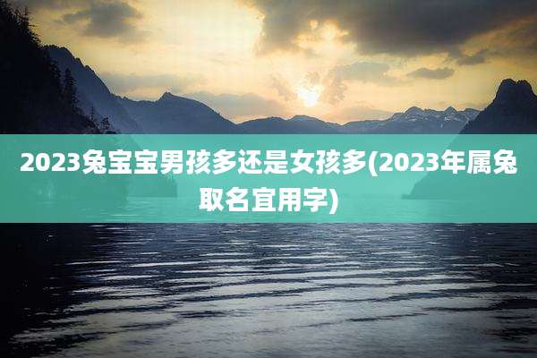 2023兔宝宝男孩多还是女孩多(2023年属兔取名宜用字)