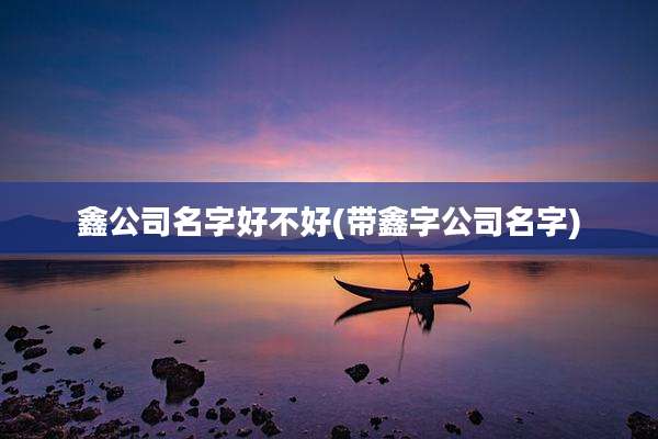 鑫公司名字好不好(带鑫字公司名字)