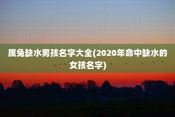 属兔缺水男孩名字大全(2020年命中缺水的女孩名字)