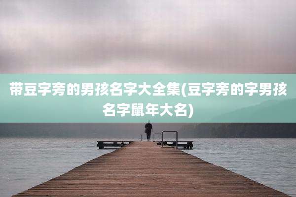 带豆字旁的男孩名字大全集(豆字旁的字男孩名字鼠年大名)