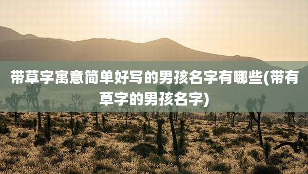 带草字寓意简单好写的男孩名字有哪些(带有草字的男孩名字)