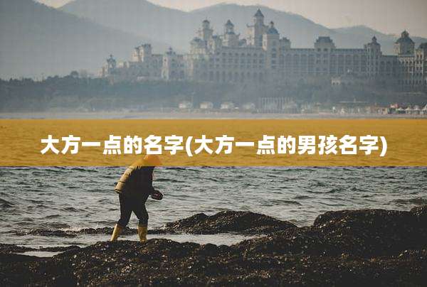 大方一点的名字(大方一点的男孩名字)