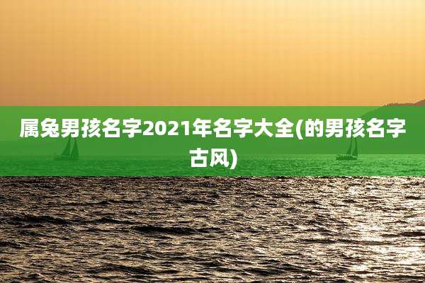 属兔男孩名字2021年名字大全(的男孩名字古风)