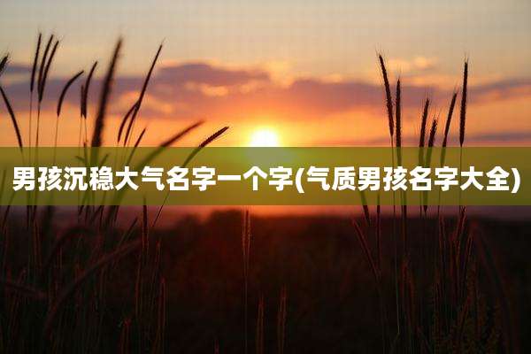 男孩沉稳大气名字一个字(气质男孩名字大全)