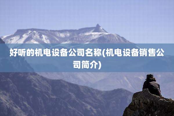好听的机电设备公司名称(机电设备销售公司简介)