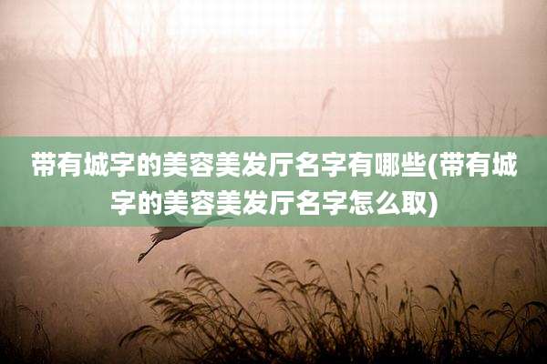 带有城字的美容美发厅名字有哪些(带有城字的美容美发厅名字怎么取)