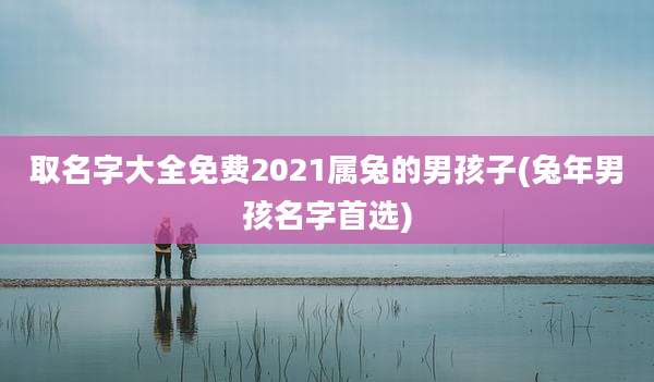 取名字大全免费2021属兔的男孩子(兔年男孩名字首选)