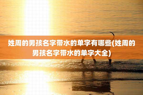 姓周的男孩名字带水的单字有哪些(姓周的男孩名字带水的单字大全)