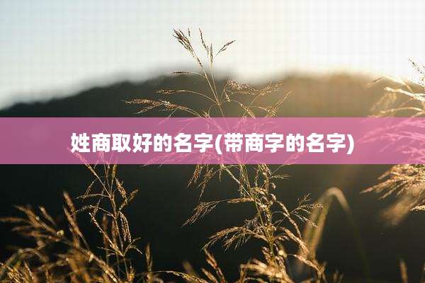 姓商取好的名字(带商字的名字)