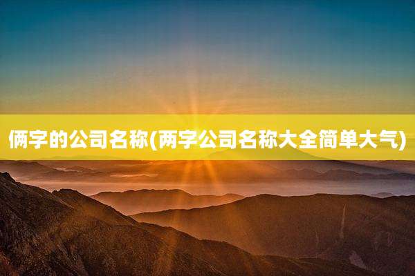俩字的公司名称(两字公司名称大全简单大气)