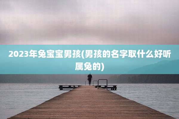 2023年兔宝宝男孩(男孩的名字取什么好听属兔的)
