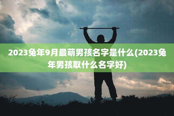 2023兔年9月最萌男孩名字是什么(2023兔年男孩取什么名字好)