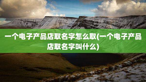 一个电子产品店取名字怎么取(一个电子产品店取名字叫什么)