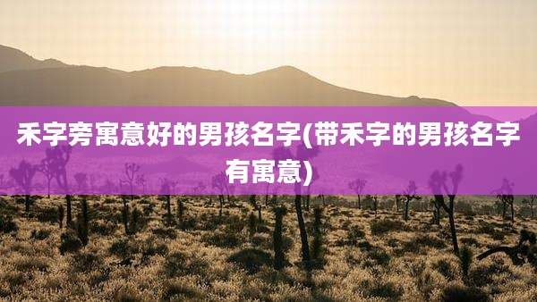 禾字旁寓意好的男孩名字(带禾字的男孩名字有寓意)