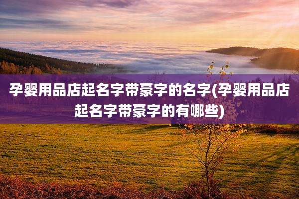 孕婴用品店起名字带豪字的名字(孕婴用品店起名字带豪字的有哪些)