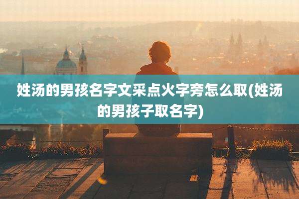 姓汤的男孩名字文采点火字旁怎么取(姓汤的男孩子取名字)