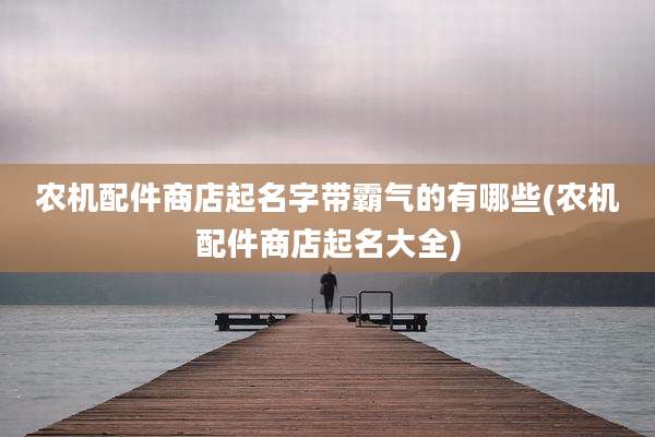 农机配件商店起名字带霸气的有哪些(农机配件商店起名大全)