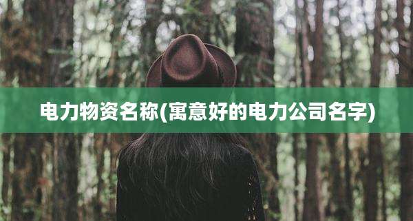 电力物资名称(寓意好的电力公司名字)