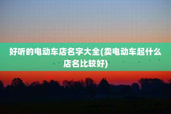 好听的电动车店名字大全(卖电动车起什么店名比较好)