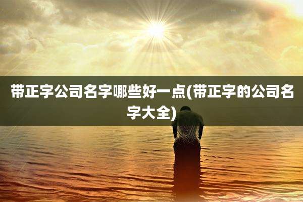 带正字公司名字哪些好一点(带正字的公司名字大全)