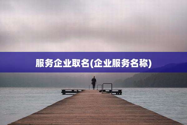 服务企业取名(企业服务名称)