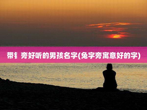 带钅旁好听的男孩名字(兔字旁寓意好的字)