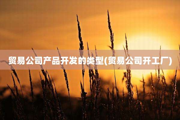 贸易公司产品开发的类型(贸易公司开工厂)