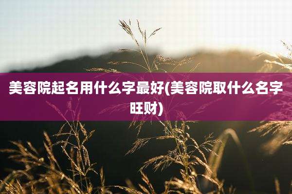 美容院起名用什么字最好(美容院取什么名字旺财)