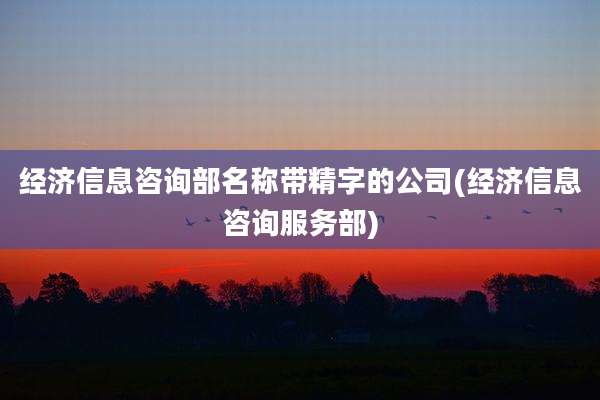 经济信息咨询部名称带精字的公司(经济信息咨询服务部)