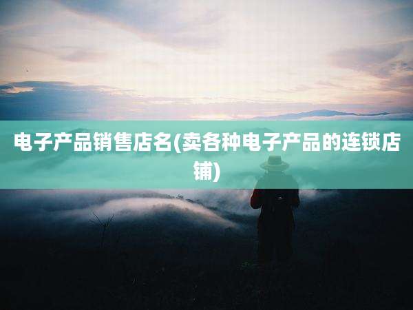 电子产品销售店名(卖各种电子产品的连锁店铺)