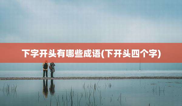 下字开头有哪些成语(下开头四个字)
