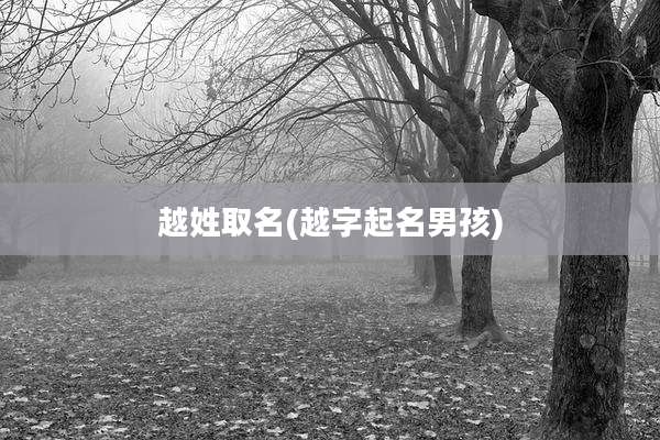 越姓取名(越字起名男孩)