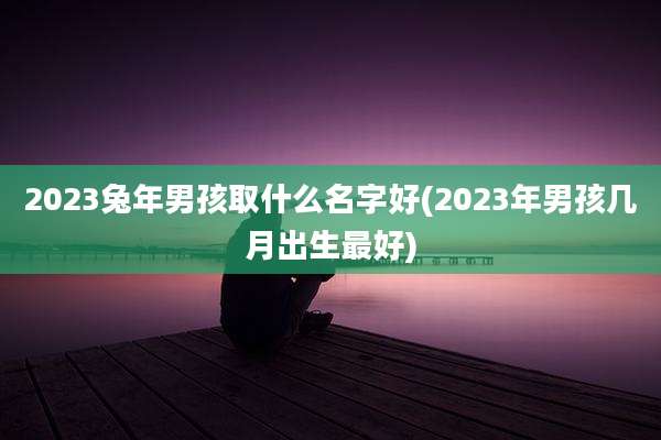 2023兔年男孩取什么名字好(2023年男孩几月出生最好)