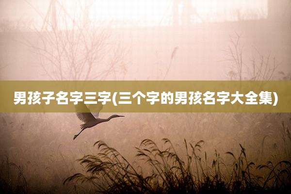 男孩子名字三字(三个字的男孩名字大全集)