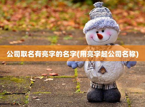 公司取名有亮字的名字(用亮字起公司名称)