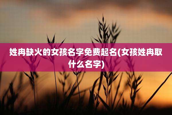 姓冉缺火的女孩名字免费起名(女孩姓冉取什么名字)