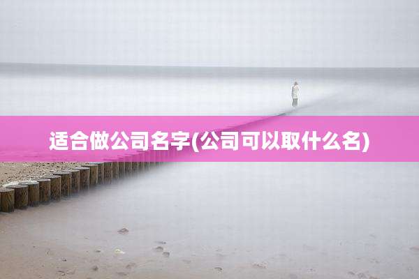 适合做公司名字(公司可以取什么名)