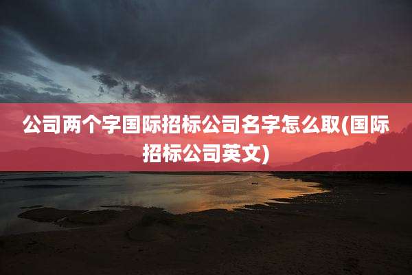 公司两个字国际招标公司名字怎么取(国际招标公司英文)