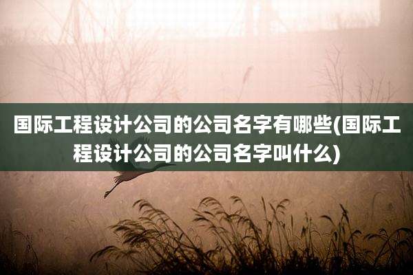 国际工程设计公司的公司名字有哪些(国际工程设计公司的公司名字叫什么)