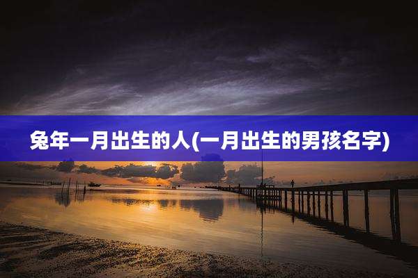 兔年一月出生的人(一月出生的男孩名字)