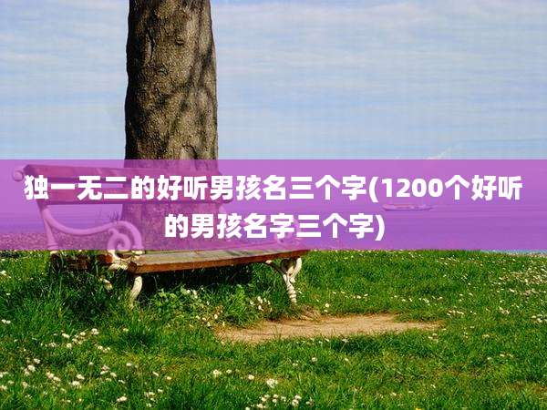 独一无二的好听男孩名三个字(1200个好听的男孩名字三个字)