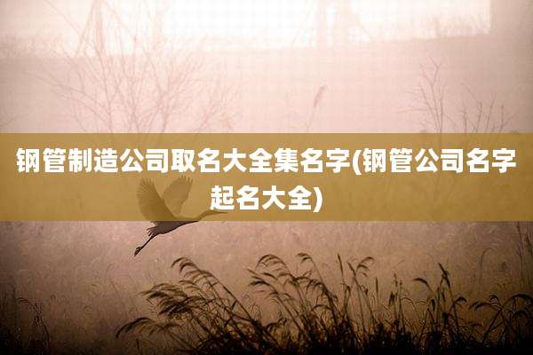 钢管制造公司取名大全集名字(钢管公司名字起名大全)
