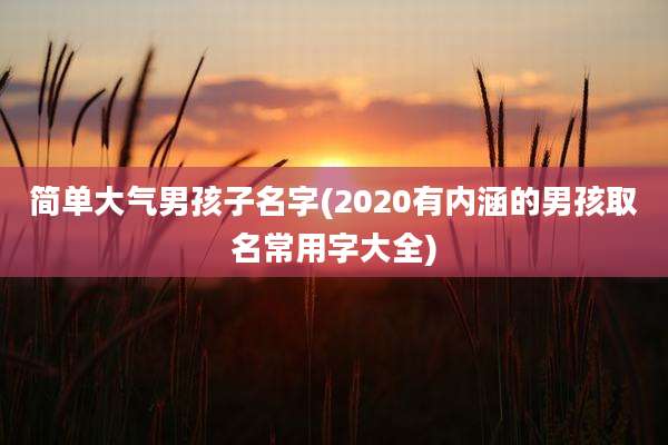 简单大气男孩子名字(2020有内涵的男孩取名常用字大全)